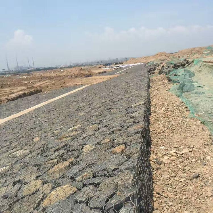 1657530197409018446.jpg 246.jpg