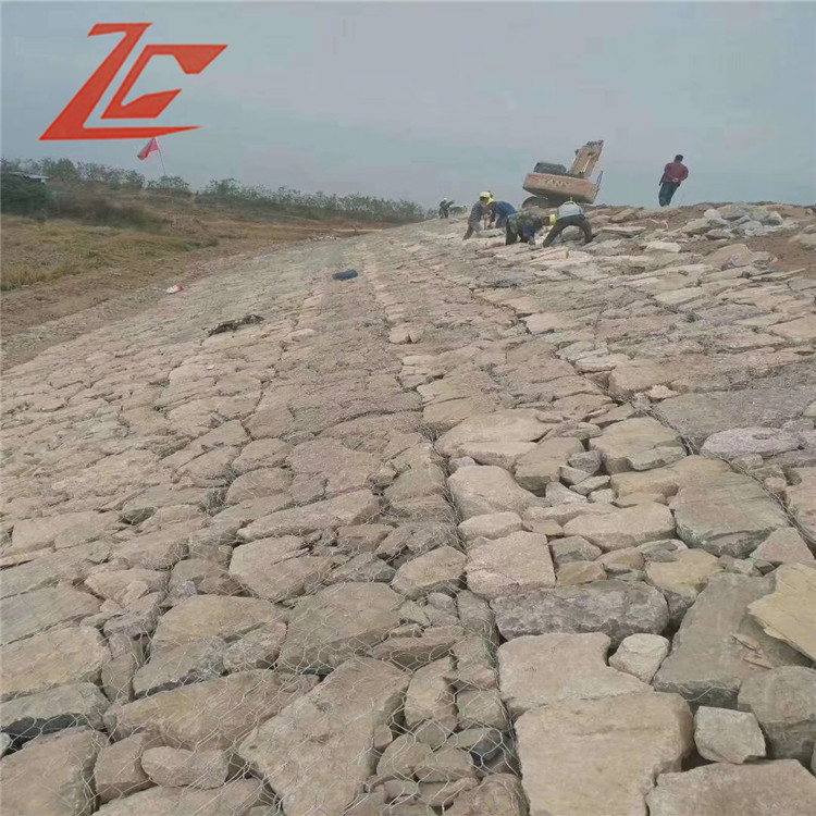 1694051270200073777.jpg 1334-2.jpg